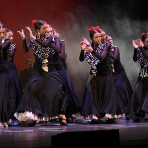 Fotografía de Talleres Danza Española (galería 2) - Conservatorio de Danza